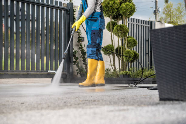 Best Roof Power Washing Services  in Tremont, PA